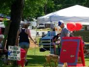 Bark in the Park