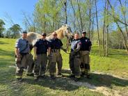 C-Shift Horse Rescue