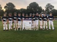 2019 Baseball 9-10 Allstars