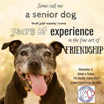 Senior Pet Month