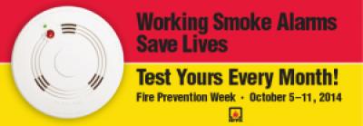 Working Smoke Alarms Save Lives Flyer